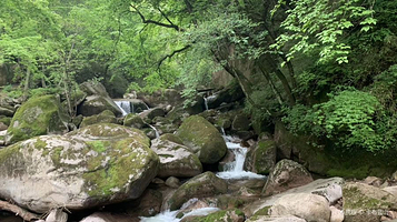 千湖国家湿地公园