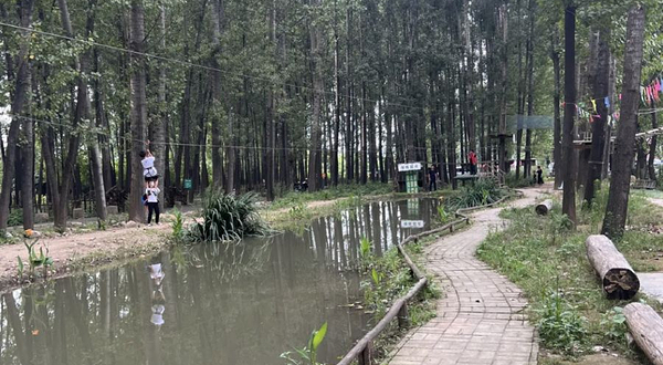 飞奔奔树上探险乐园