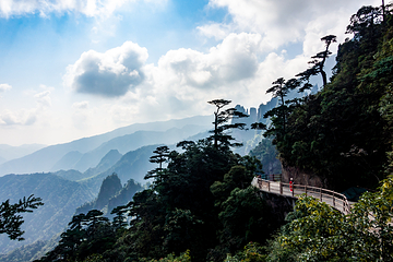 莽山旅游区国家森林公园第 23 张图片