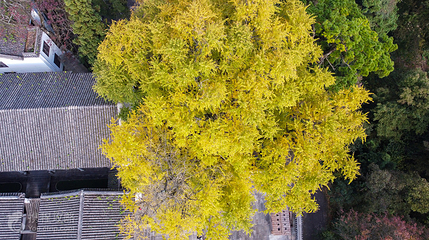 衡阳市南岳衡山风景名胜区-福严寺第 2 张图片