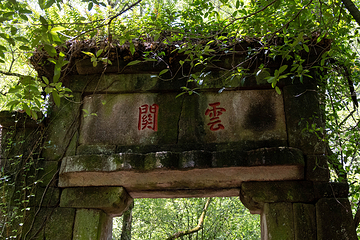 武夷山国家公园第 126 张图片