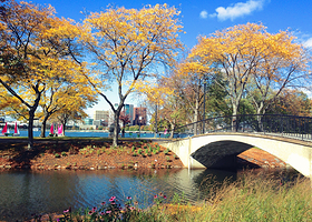 查尔斯河滨大道