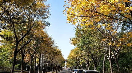 芊卉园第 1 张图片