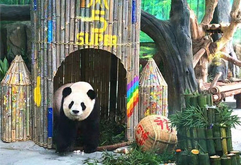厦门灵玲动物王国第 39 张图片