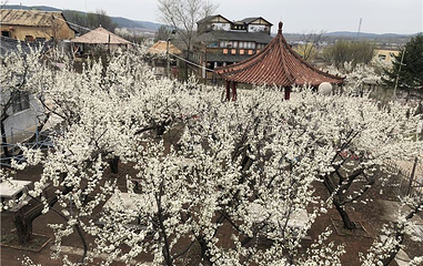 花果山神秘谷风景区第 1 张图片