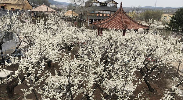 花果山神秘谷风景区