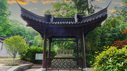 南山风景区-南山竹林景区第 1 张图片