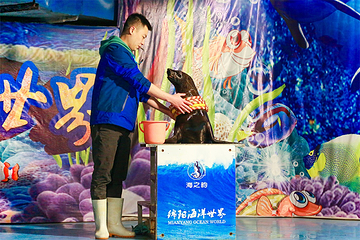 绵阳海底世界第 11 张图片
