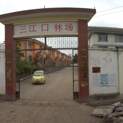 云南省昭通市三江口国营林场