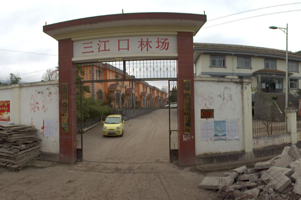 云南省昭通市三江口国营林场