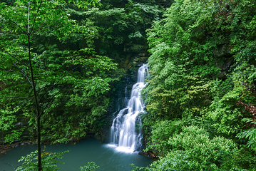 佛宝山景区第 22 张图片