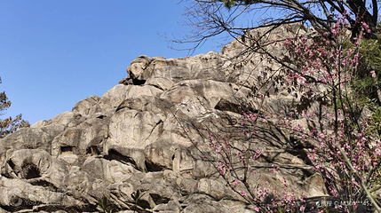 孔望山摩崖石刻第 4 张图片
