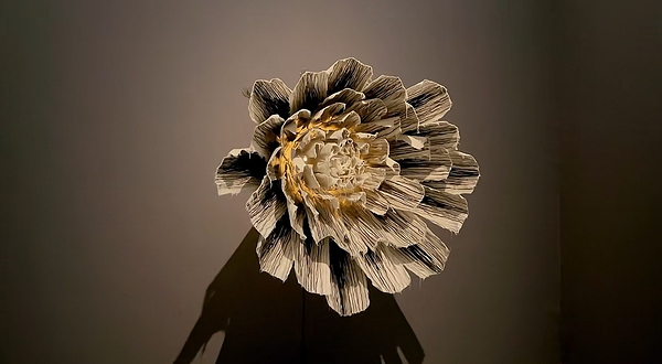 首尔市立美术馆