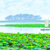 微山湖红荷湿地景区