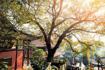 广德寺第 5 张图片