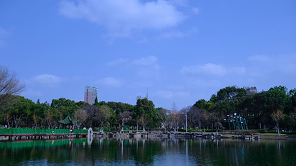东洲公园第 1 张图片