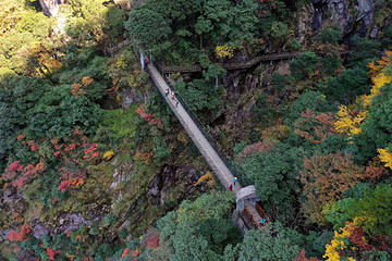 萍乡武功山云顶景区第 10 张图片