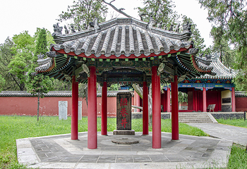 曲阜三孔景区第 253 张图片
