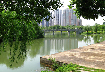 古后河绿廊第 3 张图片