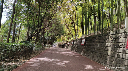 雨台山公园第 3 张图片