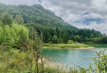 梅花山旅游景区第 65 张图片