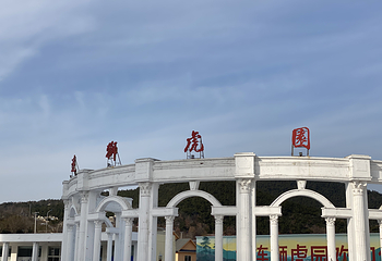 大连狮虎园第 8 张图片
