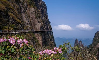 莽山旅游区国家森林公园第 49 张图片