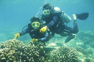 分界洲岛潜水俱乐部