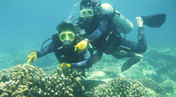 分界洲岛潜水俱乐部