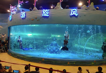 梦幻海洋企鹅馆第 88 张图片