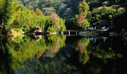 牯牛降国家级自然保护区第 16 张图片