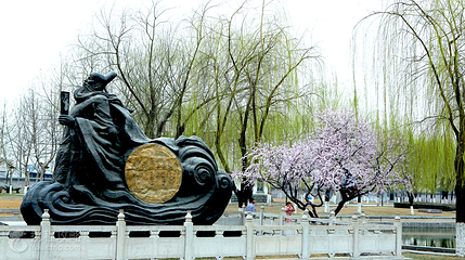 中山公园第 4 张图片