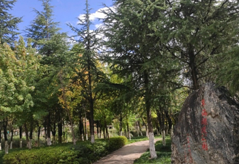 草海隧道公园第 1 张图片