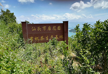 南澳岛第 143 张图片
