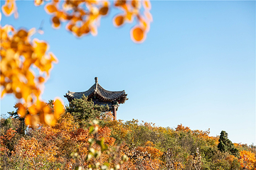 龙山景区第 2 张图片
