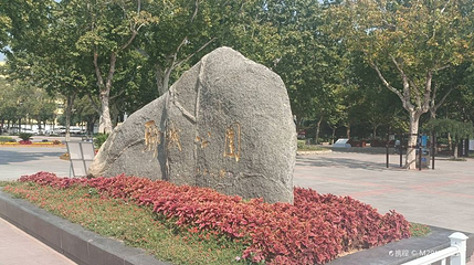 聊城公园第 1 张图片