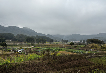 山重村第 6 张图片