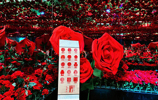 沈阳恋爱博物馆