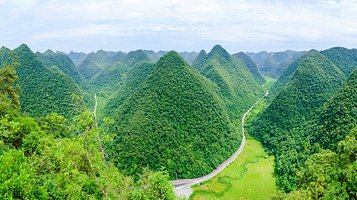 茂兰喀斯特森林保护区