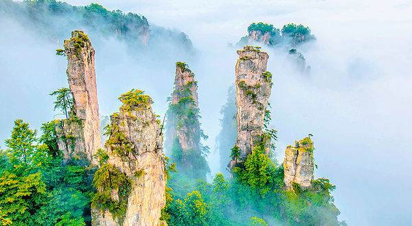 张家界国家森林公园