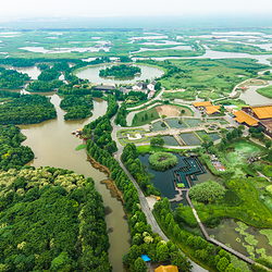 杭州湾国家湿地公园