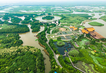 杭州湾国家湿地公园第 1 张图片