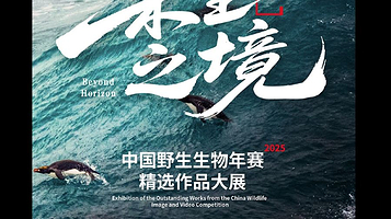 “未至之境”中国野生生物影像年赛精选作品大展
