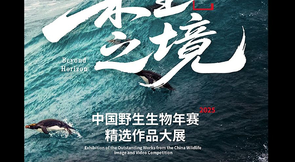 “未至之境”中国野生生物影像年赛精选作品大展