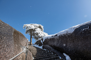 黄山风景区-玉屏景区第 11 张图片
