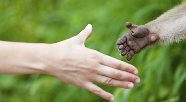 临猗野生动物园