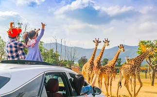 龙之梦动物世界