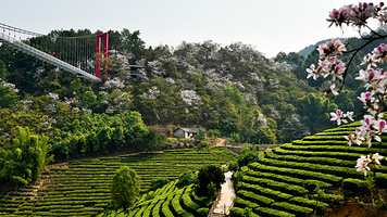 德宏仙佛洞旅游景区