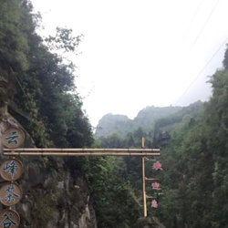 达州·大竹·云峰茶谷AAA旅游景区