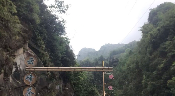 达州大竹云峰茶谷